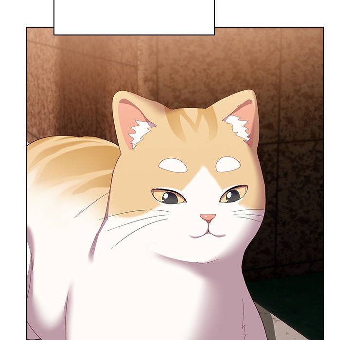 猫猫牵红线第1话