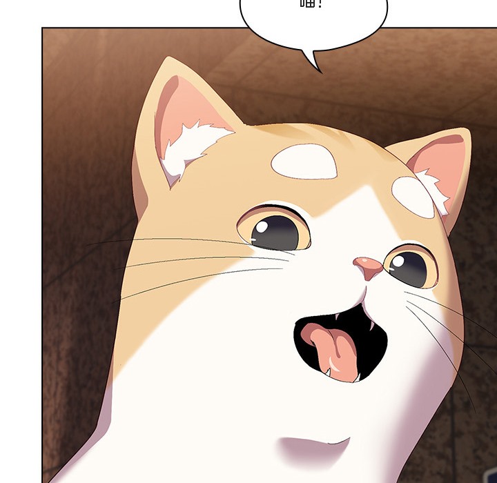 猫猫牵红线第1话