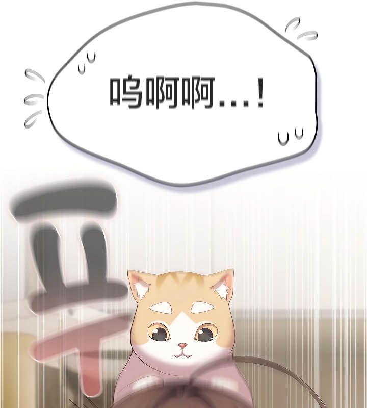 《猫猫牵红线》第11话