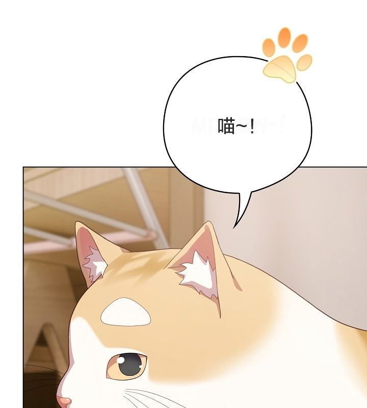 猫猫牵红线第12话