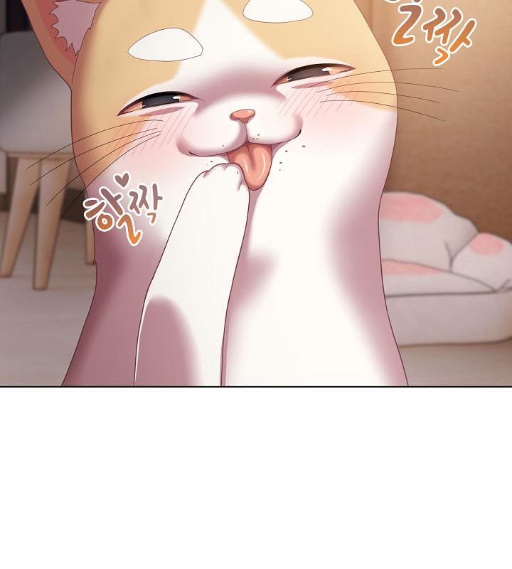 《猫猫牵红线》第18话