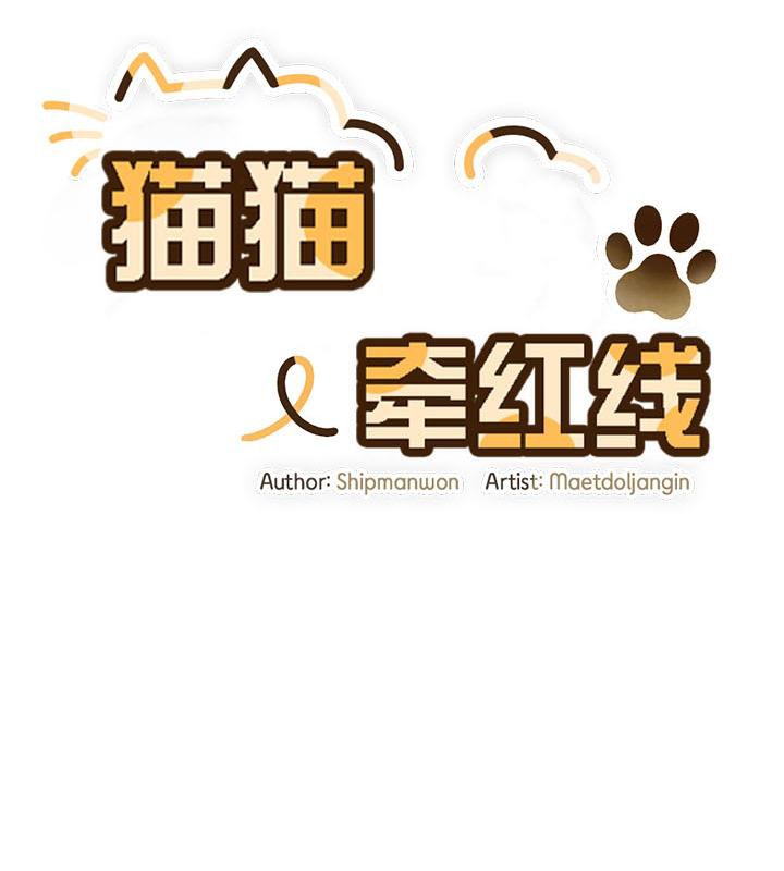 《猫猫牵红线》第19话