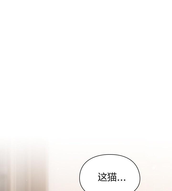 猫猫牵红线第24話