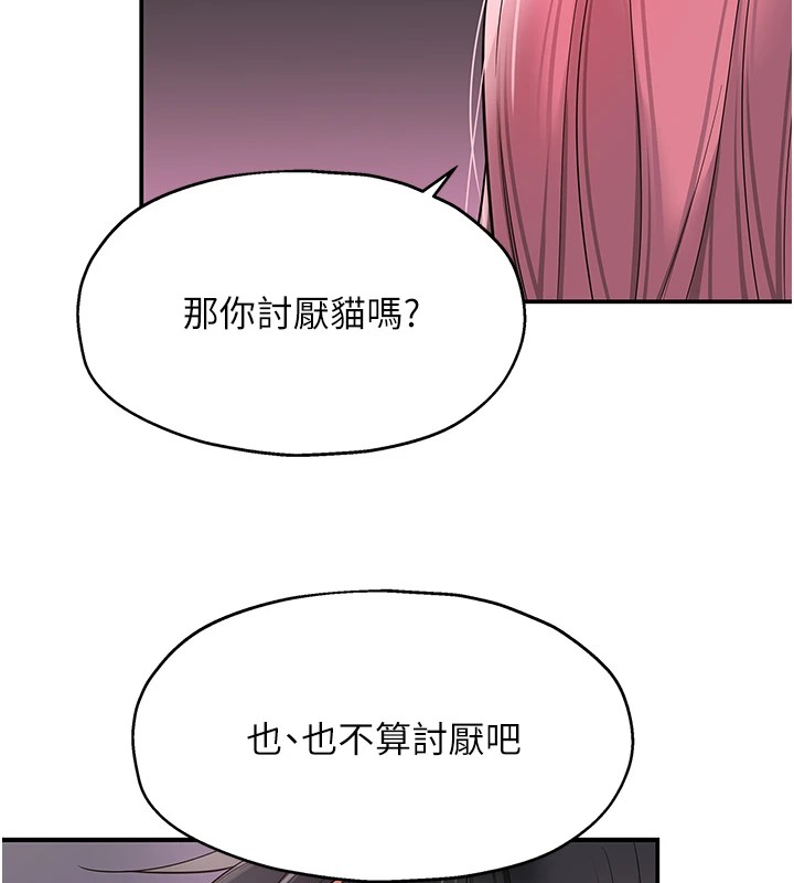 洞洞杂货店第115话-性感小野猫登门报答