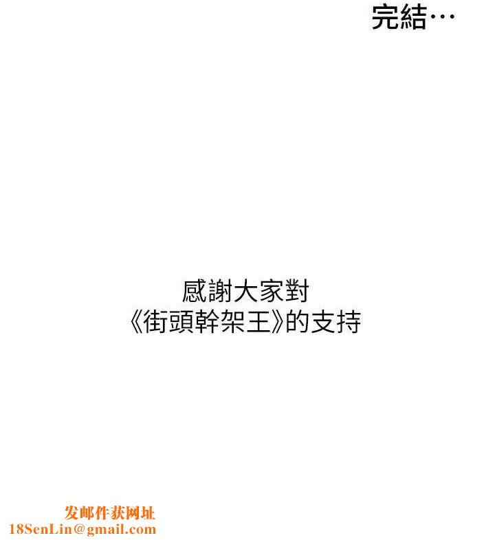 街頭幹架王最終話-尋找幸福相伴一生的人