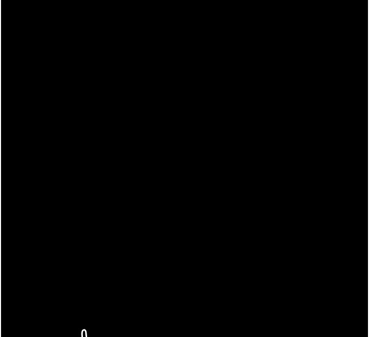 最强家丁第38話-一夜淪為母豬