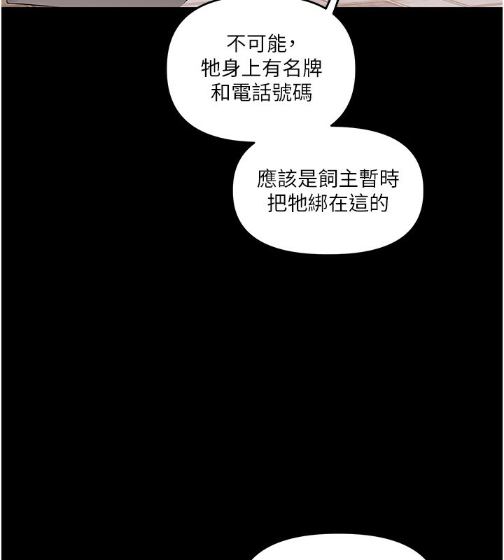 玩转学姊第72話-天降的黃色邀請函