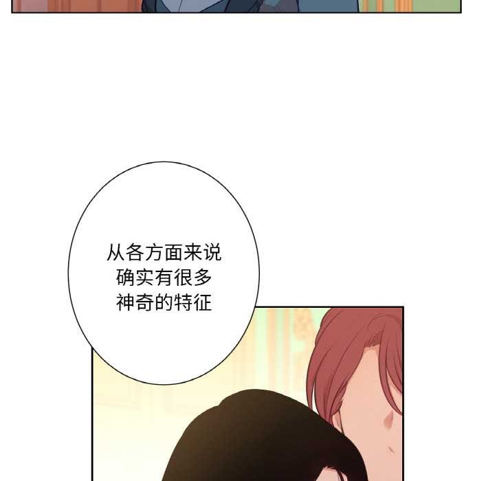 吉賽兒之血第23話