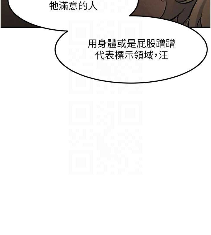 特色新视界第17話-馴服野貓守則