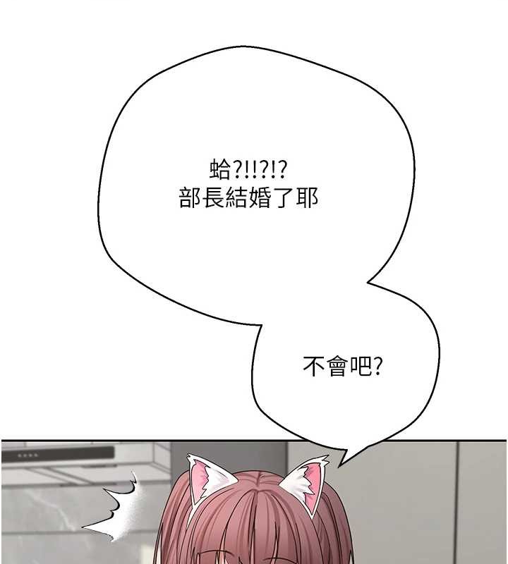 幣轉人生第54話-三隻淫亂的母貓