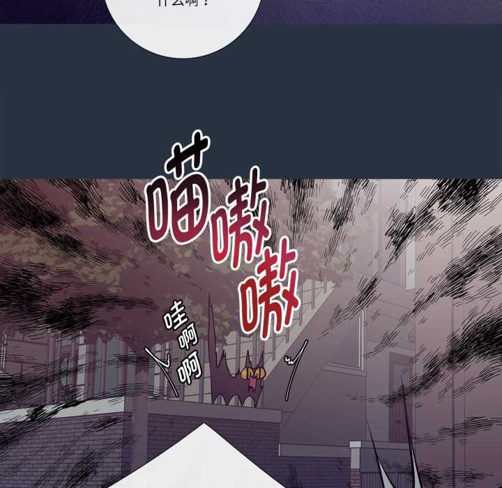 这都什么事儿啊？第28話
