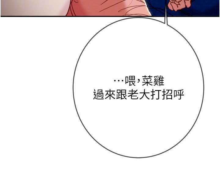 掠奪行動最終話-復仇的終點
