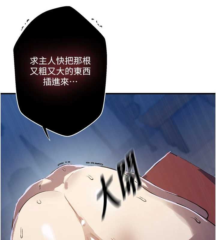 秘密教学第309話-主人的專屬鮑鮑