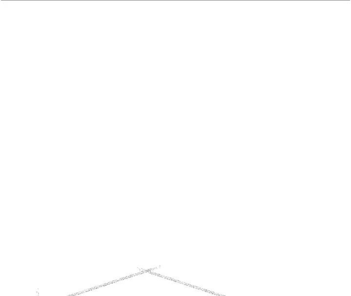 《特色新视界》第55話-成人限定的電影院約會